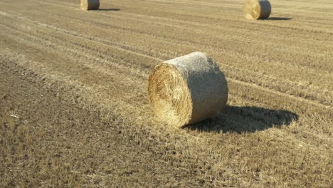 circling view of round bale of straw on the agricultural field