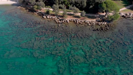 arrecifes de coral en la costa del océano tropical en el mar adriático