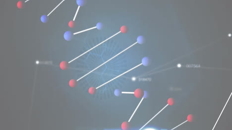 animación del giro de la cadena de adn y los números que cambian con la red de conexiones