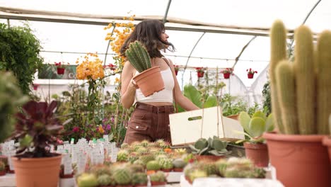 woman gardener holding cactus pot in greenhouse