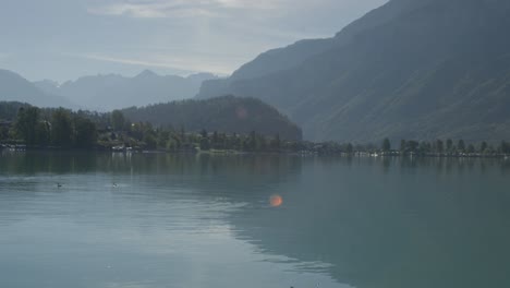 Two-Ducks-Washing-Themselves-in-Perfect-View-of-Scenic-Harbor-|-Rural-European-Mountainside-with-Great-Lake