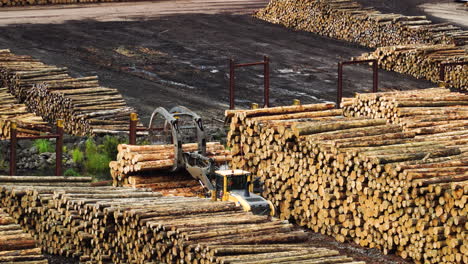 tree logs piled up after being cut in forest being loaded in truck in the north south island of new zealand