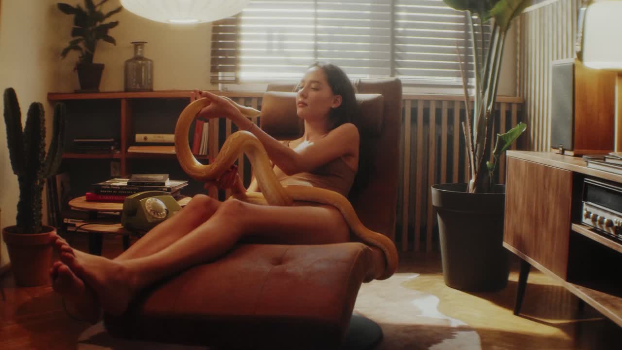 Film Frame Transition 07