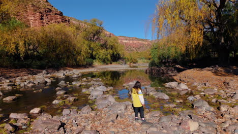 child in a yellow jacket walks over rocky terrain toward a shallow lake surrounded by red cliffs and willow trees in , argentina, with clear sky and autumn foliage, drone tracking shot
