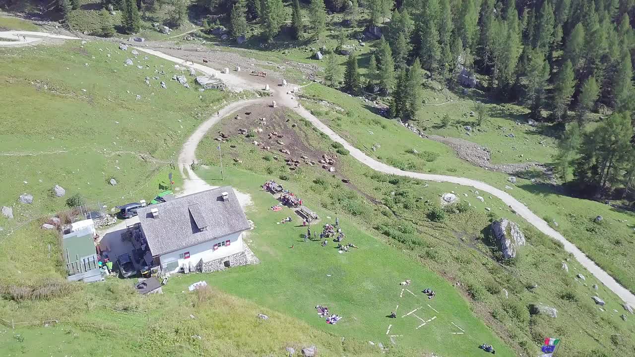 Aerial View of Cows Grazing in Alpine Meadow