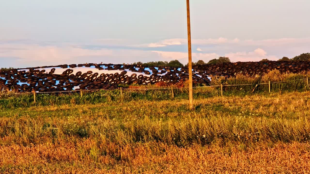 Silage Storage Covered With Tires In Rural Field During Golden Hour Light
