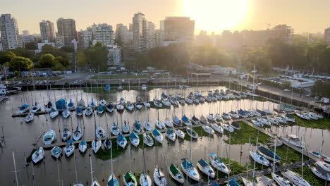aerial dolly in of yachts docked inline in olivos port leading to expensive buildings in background at sunset, buenos aires