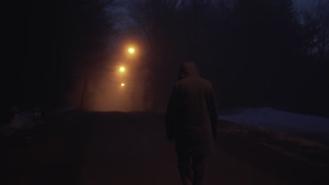person walking in light of street lamps, dark moody back view