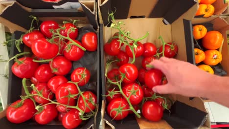 a shelf with fruits and vegetables in a grocery store, tomatoes are lying in containers