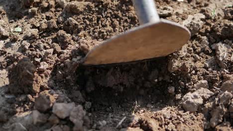 Excavación-Con-Azada-De-Acero-En-Suelo-Llano,-Cerrar