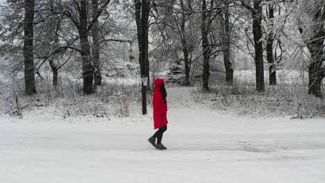 Caucasian-Woman-Wearing-Red-Coat-Walks-To-The-Forest-On-A-Winter-Day---side-view,-tracking-shot