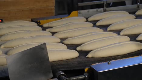 the bread dough is moving on the furnace band to bake