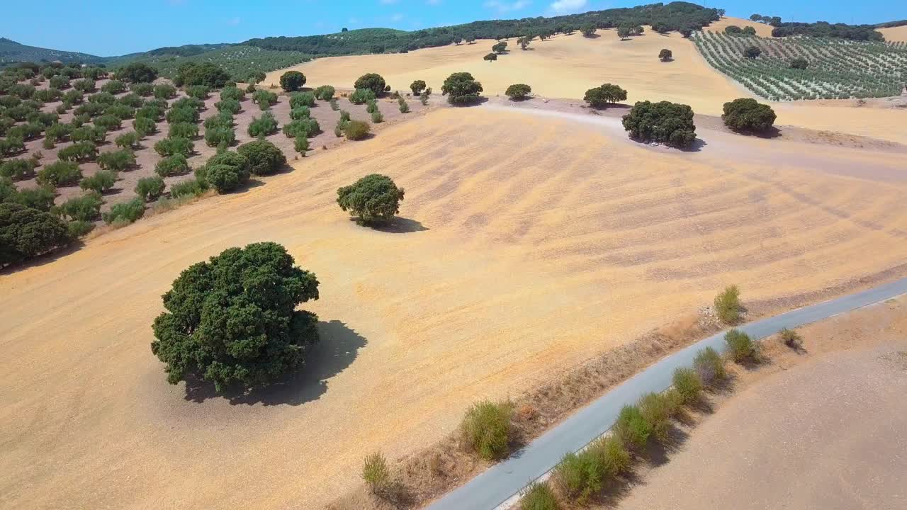 Aerial view of yellow harvest fields during the summer in Spain.
