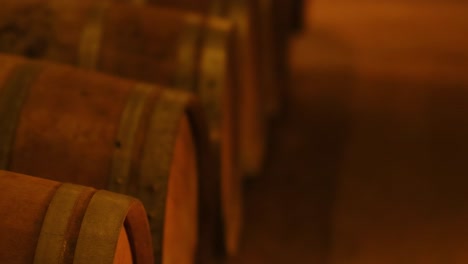 a detailed look at rows of oak barrels in warm lighting.