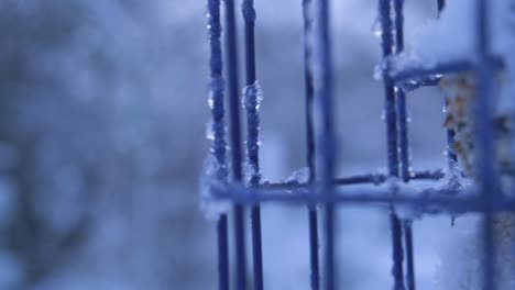 a slow motion shallow depth of field shot of a bird feeder in the snow