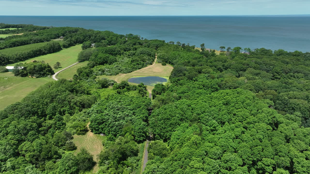 Aerial VIew Of Dense Forest With Green Trees By The Sea In Peconic, New York, USA
