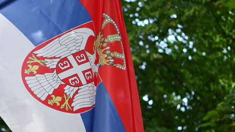 Serbian-flag-swaying-in-summer-breeze