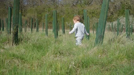 toddler boy walks in field with long grass, exploring around trees