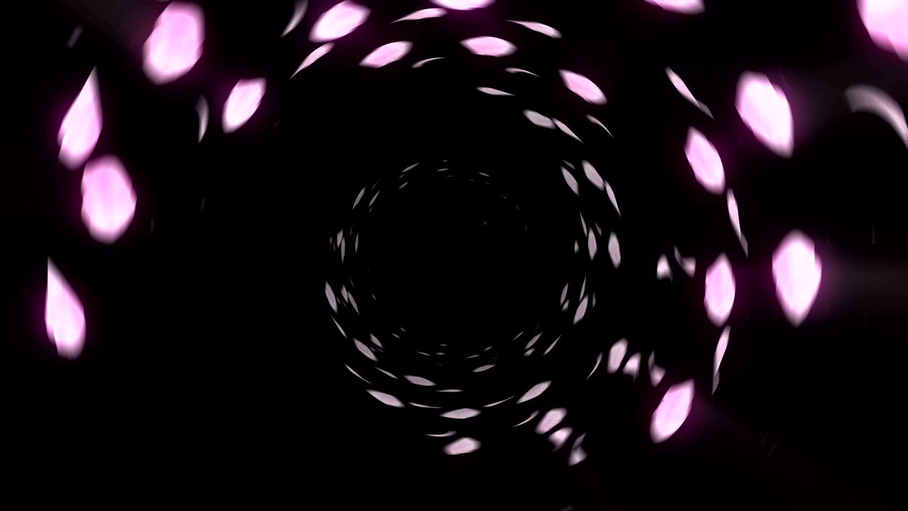 Vortice di fiori di ciliegio, Animazione CG, Loop.