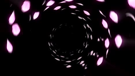 de las flores de cerezo, animación en cg, bucle de giro