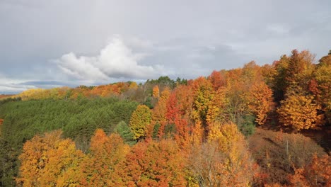 Drohnenvideo-Weitwinkelaufnahme-Von-Herbstfarben-In-Michigan