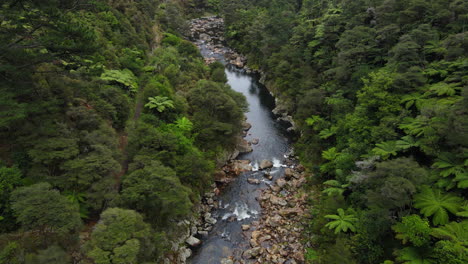 drone alto sobre el desfiladero del río rocoso en nueva zelanda con árboles, arbustos y rocas