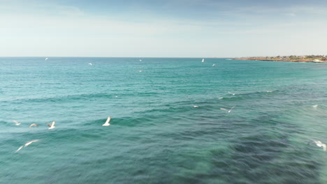 Wildlife-Scene-With-Flock-Of-Birds-Flying-At-The-Beach-Of-Riserva-Naturale-Orientata-Oasi-Faunistica-di-Vendicari-In-Noto,-Italy