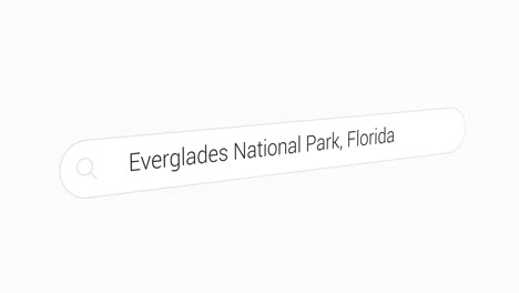 buscando el parque nacional de los everglades, florida en la web