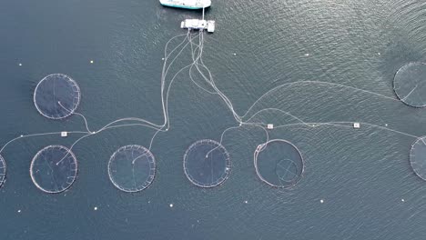 bird's eye view over salmon farming operation in norway