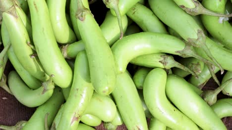 fresh-organic-brinjal-from-farm-close-up-from-different-angle