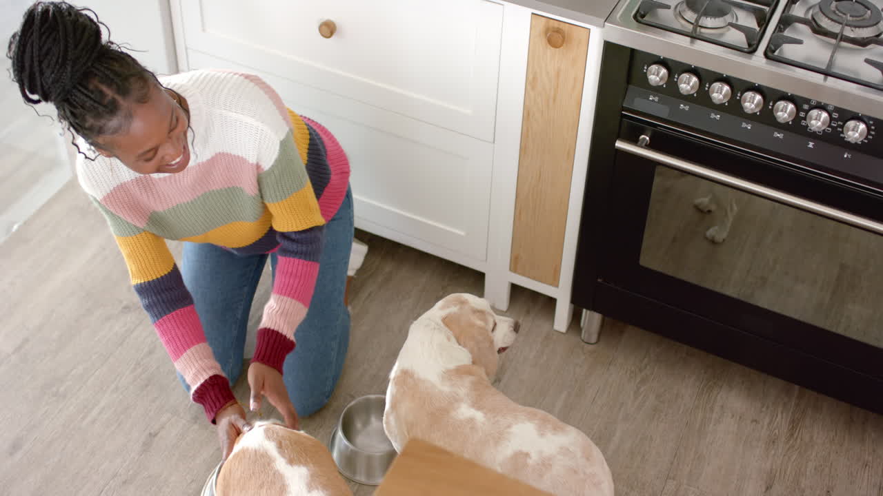 African American woman feeding dog in kitchen, both looking at bowl, at home