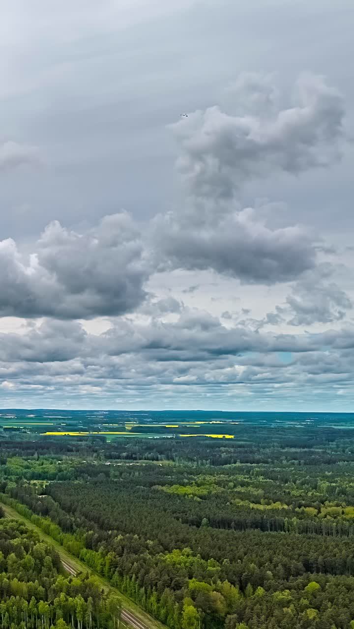 Timelapse aereo verticale suggestivo che mostra nuvole grigie tempestose che si muovono su una vasta foresta verde e campi fioriti di un giallo brillante sotto un cielo coperto.