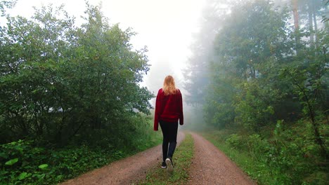 cámara lenta, una mujer con suéter rojo se aleja en la distancia por un sendero a través del bosque negro
