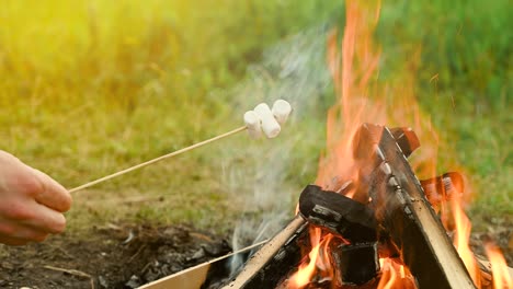 roasting marshmallows on a campfire during camping in nature.