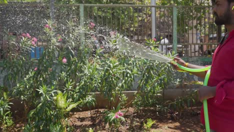 Mann-Gießt-Pflanzen-Im-Garten-Mit-Schlauch-In-Mumbai,-Indien