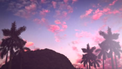 paisaje tropical y montaña con palmeras al atardecer