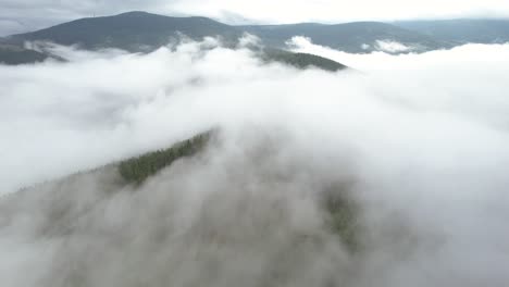 Aerial-shot-over-the-mountain-woods-on-a-misty-day---the-forest-is-producing-clouds-by-a-natural-condensation-process