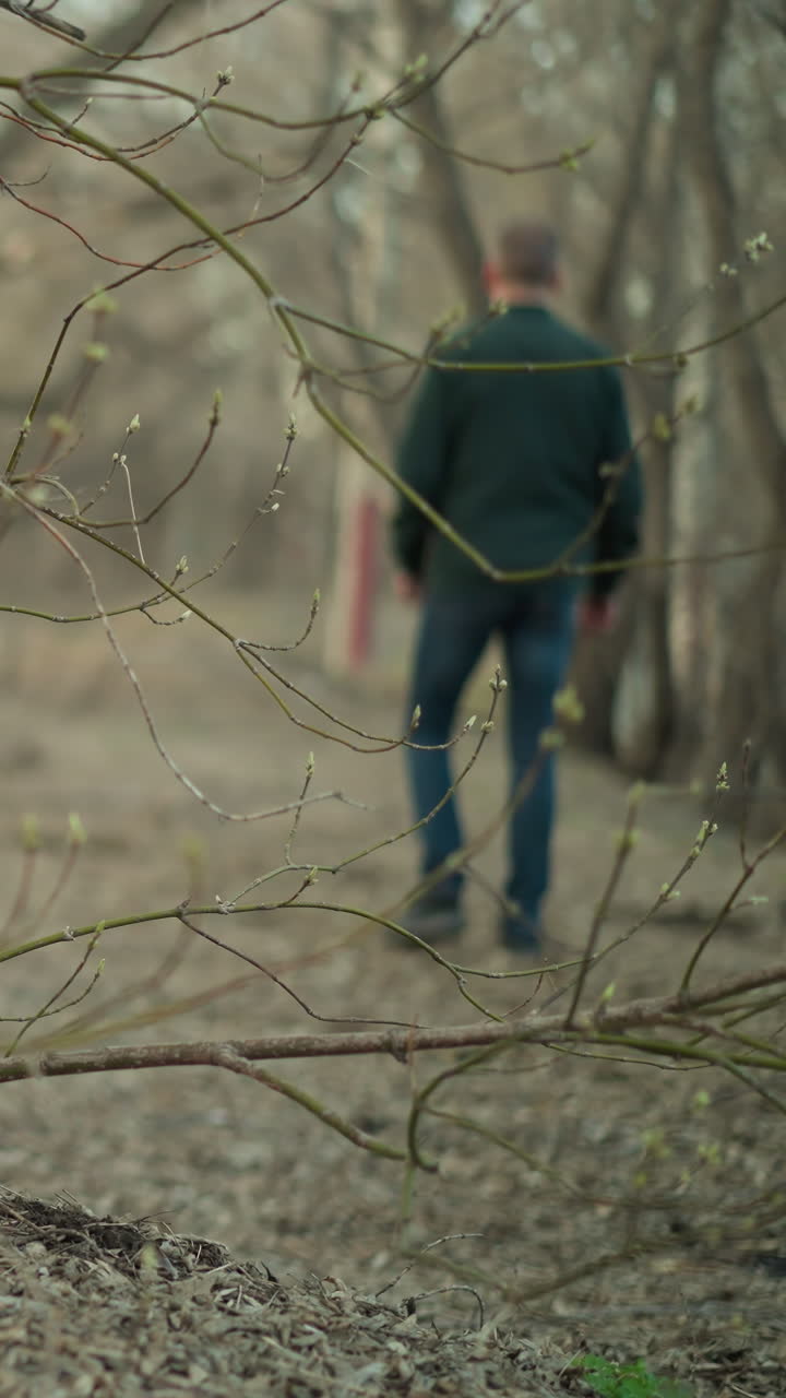 una vista de cerca de las ramas de los árboles en un bosque, con una vista borrosa de alguien caminando en el fondo