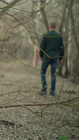 a close-up view of budding tree branches in a forest, with a blurred view of someone walking in the background