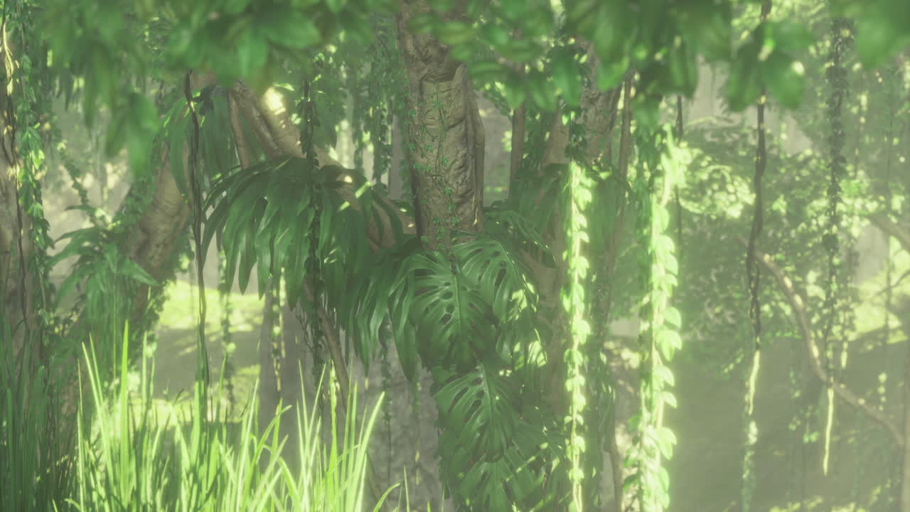 Lush tropical foliage in a misty forest at dawn showcasing natures beauty
