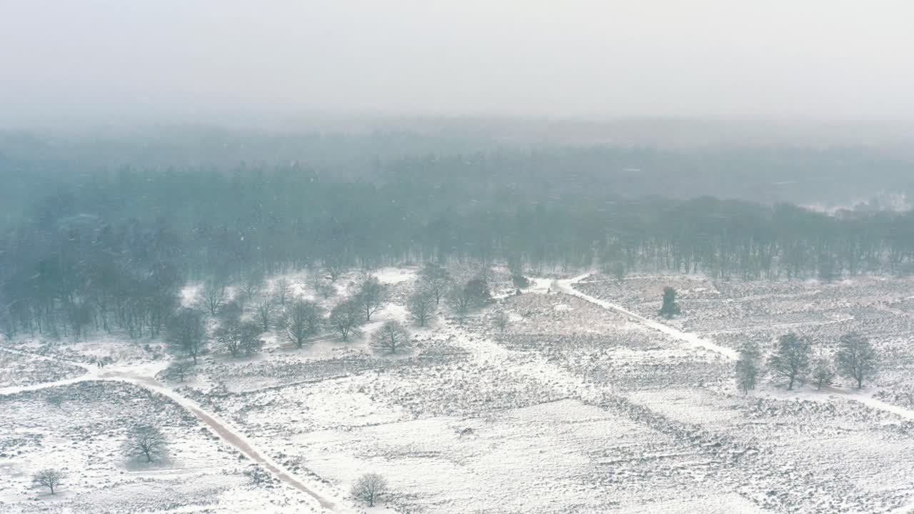 Luftaufnahme – Wald und Felder, schneebedeckt im Nationalpark Veluwe, Niederlande, Weitwinkelaufnahme.