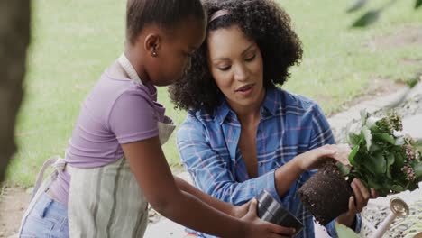 Happy-african-american-mother-and-daughter-planting-flowers-in-garden,-slow-motion