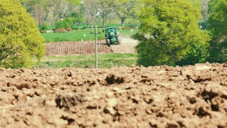 grandes pájaros blancos rodean un tractor mientras se abre paso a través de un campo, cornualles, inglaterra, reino unido.