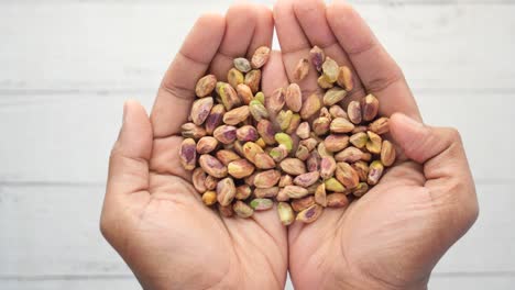 close up of pistachios nut on hand