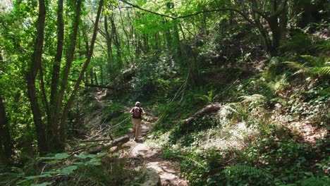 senderismo por senderos rocosos cerca del río riells, cataluña, españa