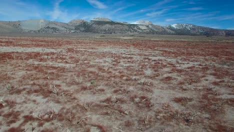 Beautiful-vista-aérea-shot-over-red-sagebrush-reveals-the-Mono-volcano-cones-in-the-Eastern-Sierra-Nevada-mountains