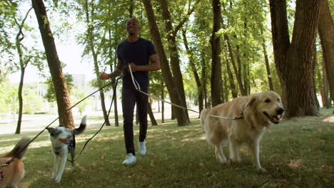 young man with pets at the park