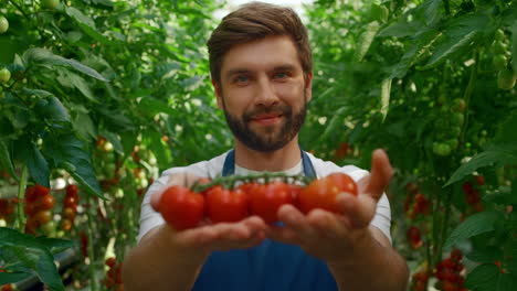 man gardener holding tomatoes harvest in green countryside garden smiling