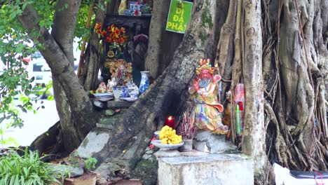 un ritual sagrado en un santuario de árboles