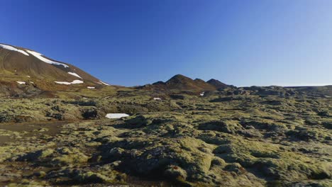 lava field covered by green moss and snow mountain with blue sky at the background in iceland